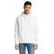 s13251-wh SLAM