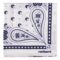 CFM218F-2 Cacharel Scarf Alesia White