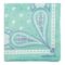 CFM218T-2 Cacharel Scarf Alesia Mint