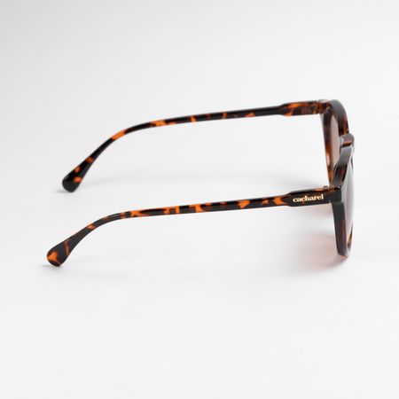 CGS218Y-3 Cacharel Sunglasses Alesia Brown