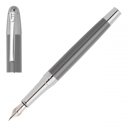 Fountain pen Classicals Chrome Grey