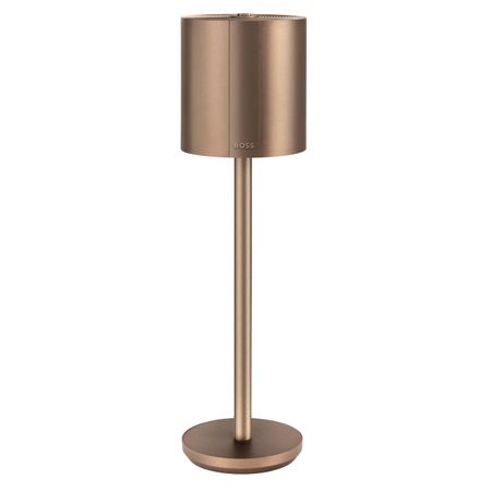 BOSS Lamp Elemental Camel