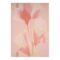 HNH623XL-6 BOSS Notebook A5 Holographic Flower Nude Lined