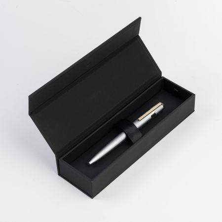 HUGO BOSS Ballpoint pen Gear Pinstripe Silver / Gold