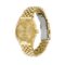 ICE steel-Gold-Small-SOLAR 3H
