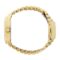 ICE steel solar Gold Blue