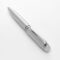 Ballpoint pen Caprio Chrome Diamond